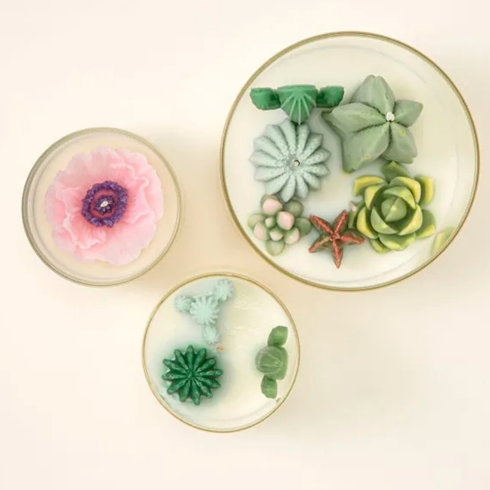 💥BUY 5 GET 3 FREE  Terrarium Candle CACTUS, Originally $27.00 - Picture 5 of 9